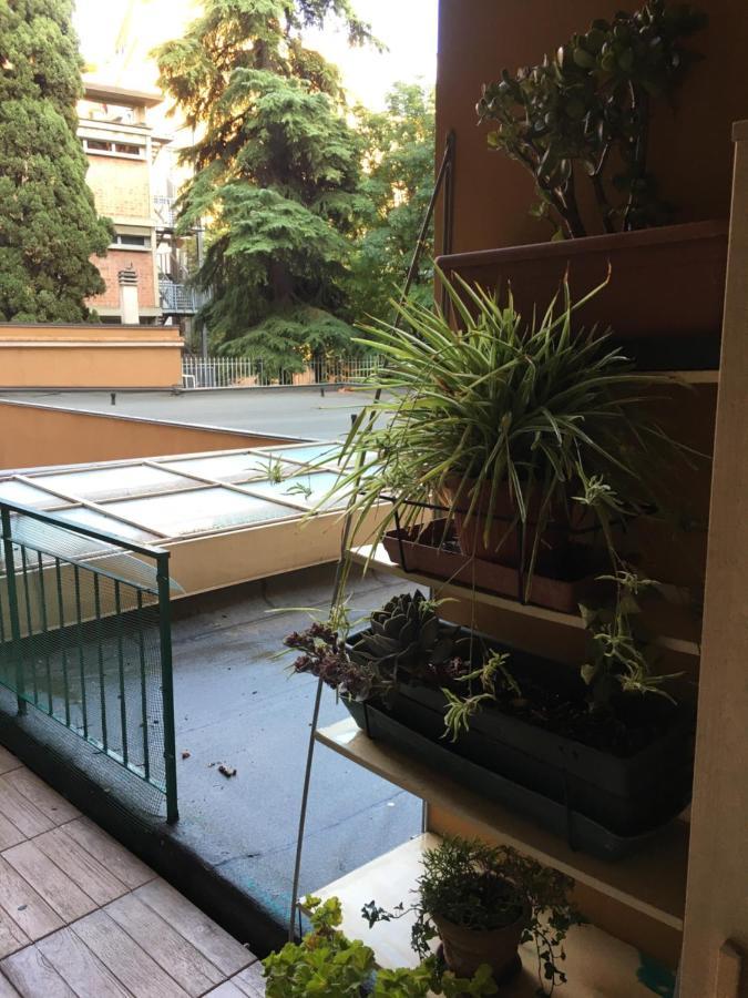 Little Secret Apartment By Wonderful Italy Bologna Eksteriør bilde